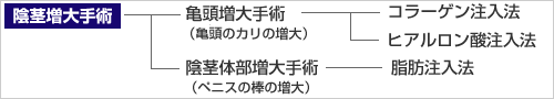 ツリー図：陰茎増大手術