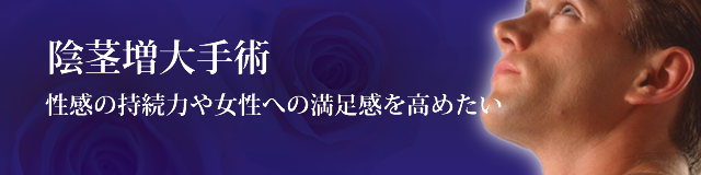 陰茎増大手術について